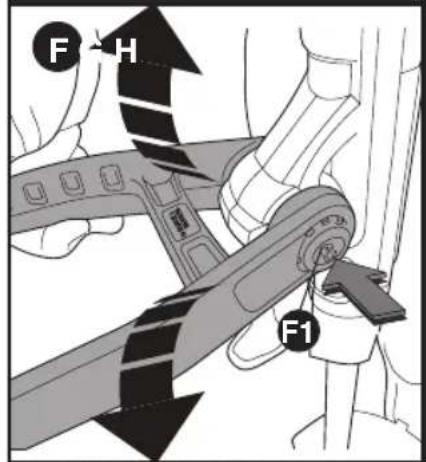 BLACK & DECKER GH3000 - SAFETY WARNINGS AND INSTRUCTIONS: EXTENSION CORDS - 6