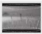 LG 32LF6329 - POZOR - 30