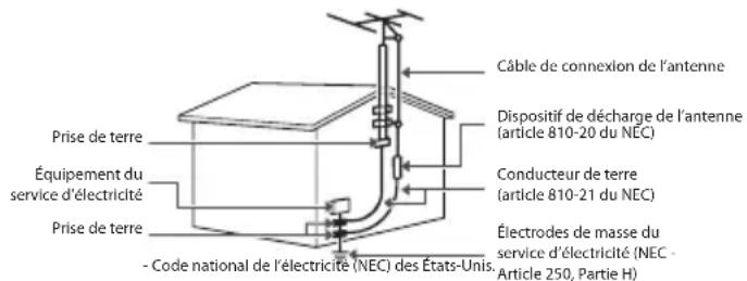 LG OLED65E6P - - Mise à la terre - 2
