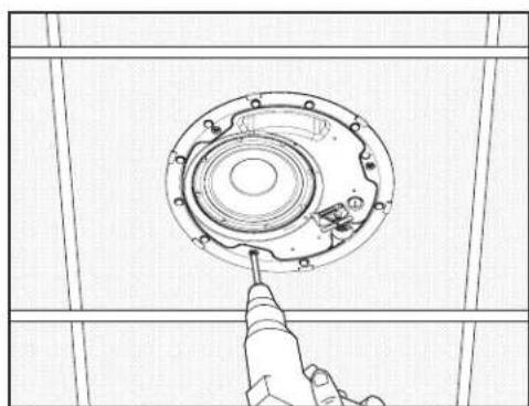 BOSE DesignMax DM8C - cglglae - 6
