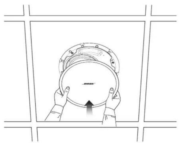 BOSE DesignMax DM8C - () - 1