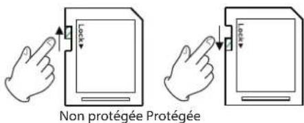 Non protégée Protégée
