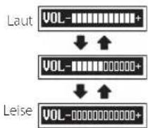 TASCAM DR10SG - ⑨ Tasten PHONES -/+ - 1