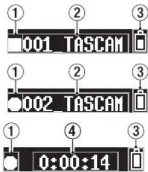 TASCAM DR10SG - Dada de la grabacion - 1