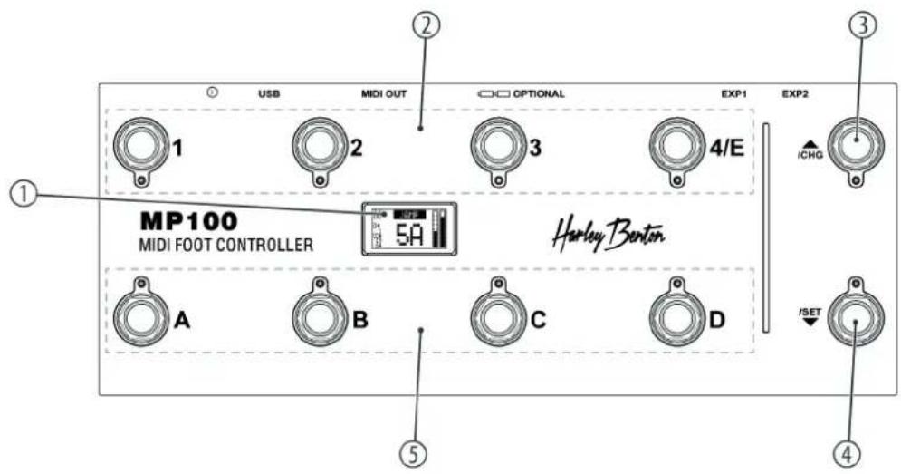 Harley Benton MP100 - Connexions et éléments de commande - 1