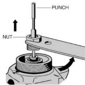PUNCH NUT