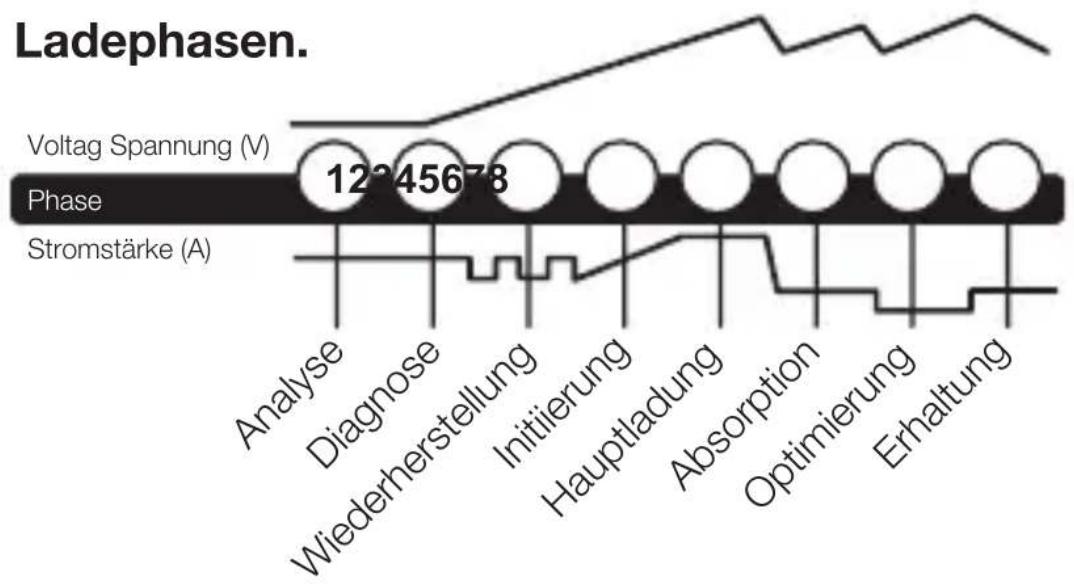 NOCO Genius G15000 - Die Funktion "Erweiterte Fehlerdiagnose" verstehen. - 20