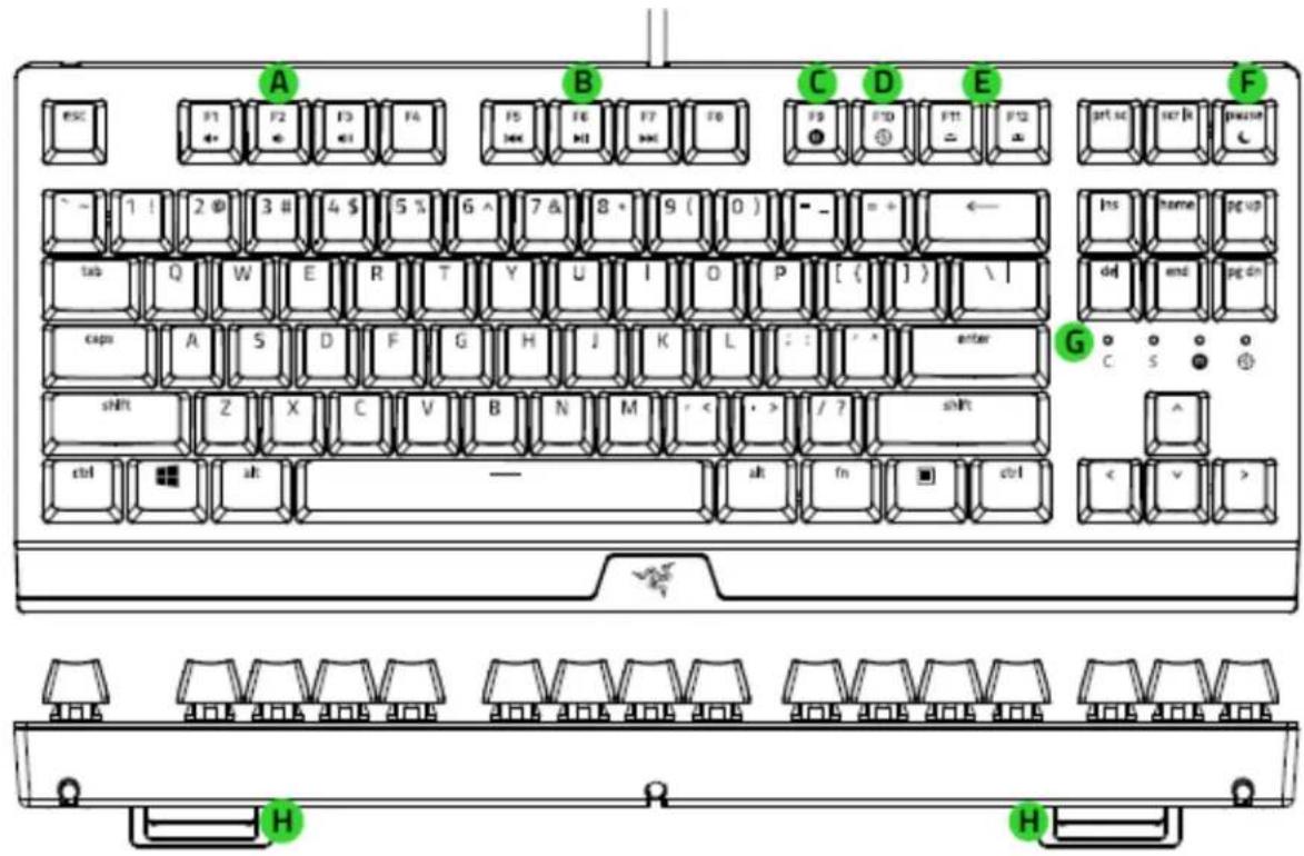 RAZER Blackwidow V3 TenKeyLess - 子長苦 - 1