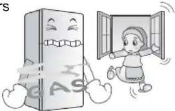 S GAS