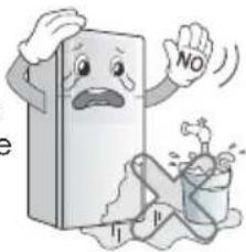 NO e