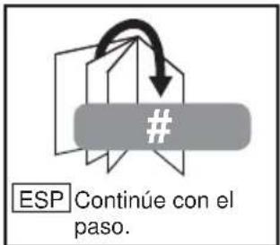 Peerless-AV Xtreme SPK080 - ESP Simbolos - 2