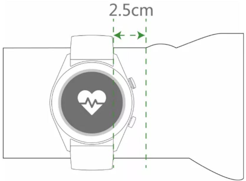 HUAWEI Watch GT 2 Elegant - Porter la montre - 1