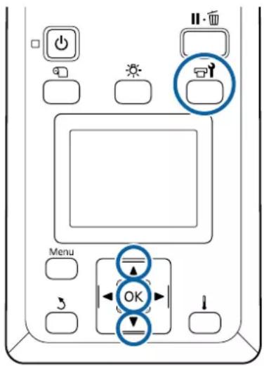 EPSON SureColor SCS60600L - Impression de motifs de vérification des buses - 1