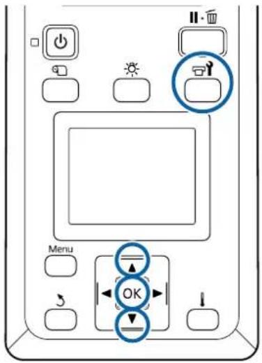 EPSON SureColor SCS60600L - Important: - 1