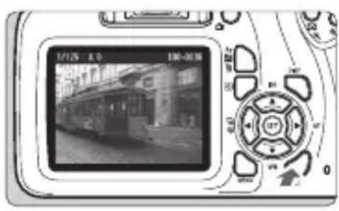 CANON EOS Rebel T100 - Image Playback - 1