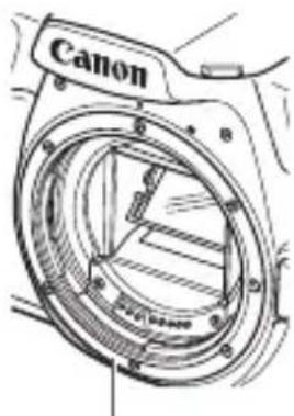 CANON EOS Rebel T100 - Lens Mount Maintenance - 1