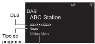 ONKYO CSN575 - Visualización de la información sobre la radio DAB - 1