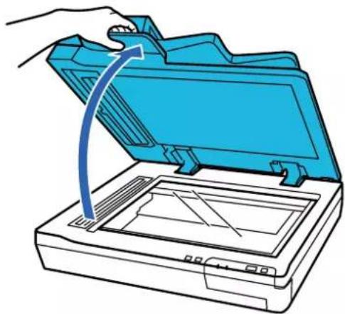 EPSON WorkForce DS60000N - Caractéristiques et positionnement des originaux - 1
