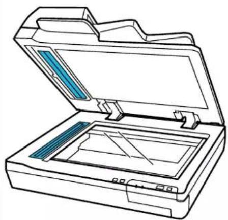 EPSON WorkForce DS60000N - Important: - 1