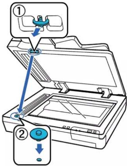 EPSON WorkForce DS60000N - Entretien - 1