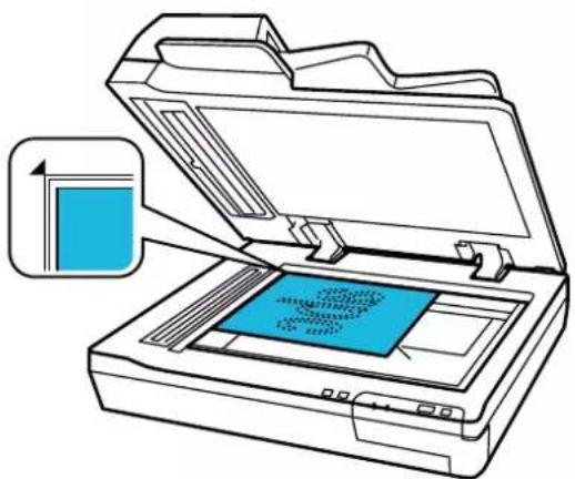 EPSON WorkForce DS60000N - Caractéristiques et positionnement des originaux - 2