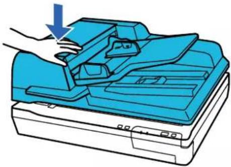 EPSON WorkForce DS60000N - Caractéristiques et positionnement des originaux - 1