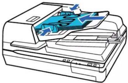 EPSON WorkForce DS50000N - Caractéristiques et positionnement des originaux - 1