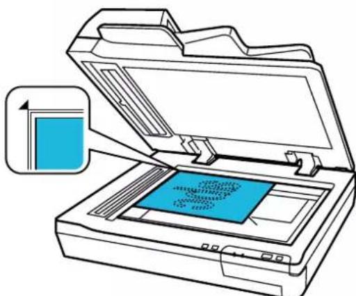 EPSON WorkForce DS50000N - Caractéristiques et positionnement des originaux - 2