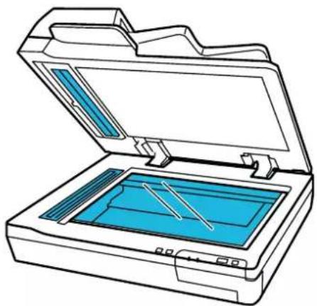 EPSON WorkForce DS50000N - Important: - 1