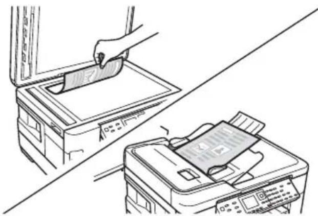 EPSON WorkForce WF7520 - Utilisation du chargeur automatique de documents - 5