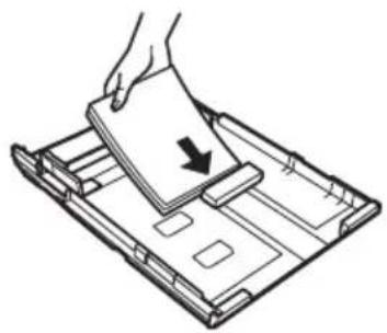 EPSON WorkForce WF7520 - Using Special Papers - 1