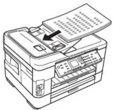 EPSON WorkForce WF7520 - Utilisation du chargeur automatique de documents - 2