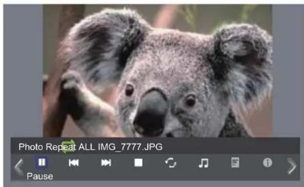 HAIER 32D3005 - Photo - 1