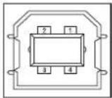 OKI C911DN - PpOdiaypaqecdiaouvovcog USB - 1