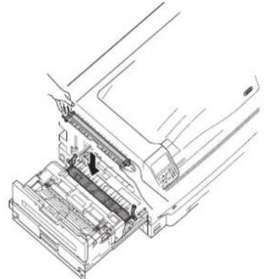 OKI C911DN - Napatripnon - 2