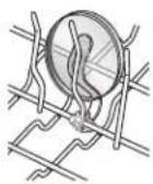 MAYTAG JetClean Plus MDB8949SBB - Cup Clips - 1