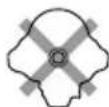 ALPINE CDE121 - Discos de forma irregular - 1