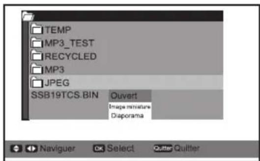 SANYO LCD42E40W - VISIONNEMENT UNIQUE (Ouvert) - 1