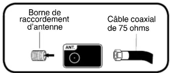 Borne de raccordement d'antenne Câble coaxial de 75 ohms