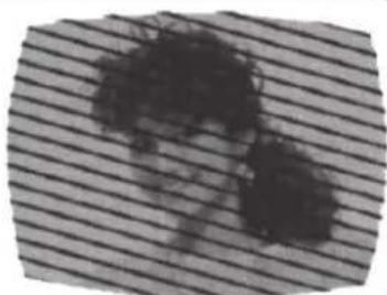 JVC LT32E710 - ALLUMAGE - 4