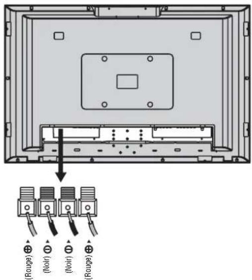 INSIGNIA NS42LCD - Connexion de haut-parleurs externes - 1