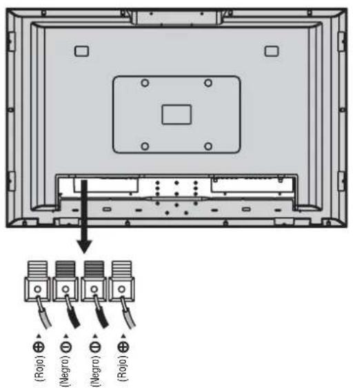INSIGNIA NS42LCD - Conexión de altavoces externos - 1
