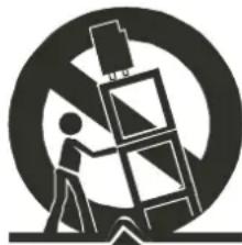 INSIGNIA NSF20TV - Important safeguards - 1