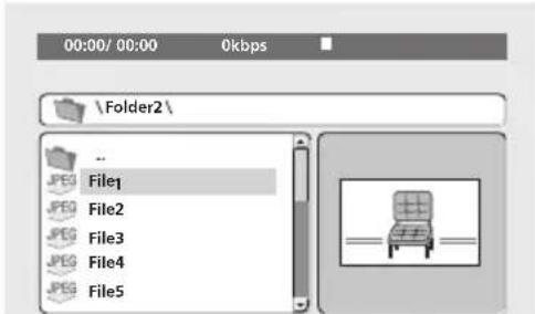 PIONEER DV310 - Use the cursor buttons ( / / / ) and ENTER to navigate. - 1