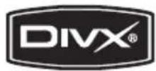 PIONEER DV310 - About DivX video - 1
