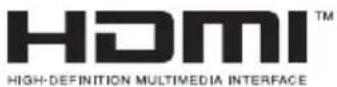 PIONEER DV310 - About HDMI - 1