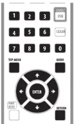 PIONEER DV310 - DVD-Video and DivX disc menus - 1