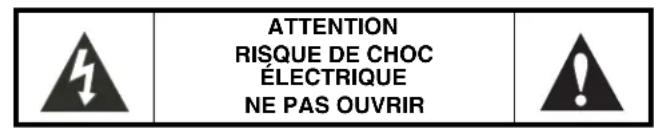 INSIGNIA NSP4113 - Informations sur la sécurité - 1