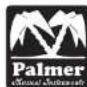 Palmer PDI05 - CARACTERISTIQUES - 2