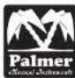 Palmer PDI05 - DEFINETHYOUR TONE - 1